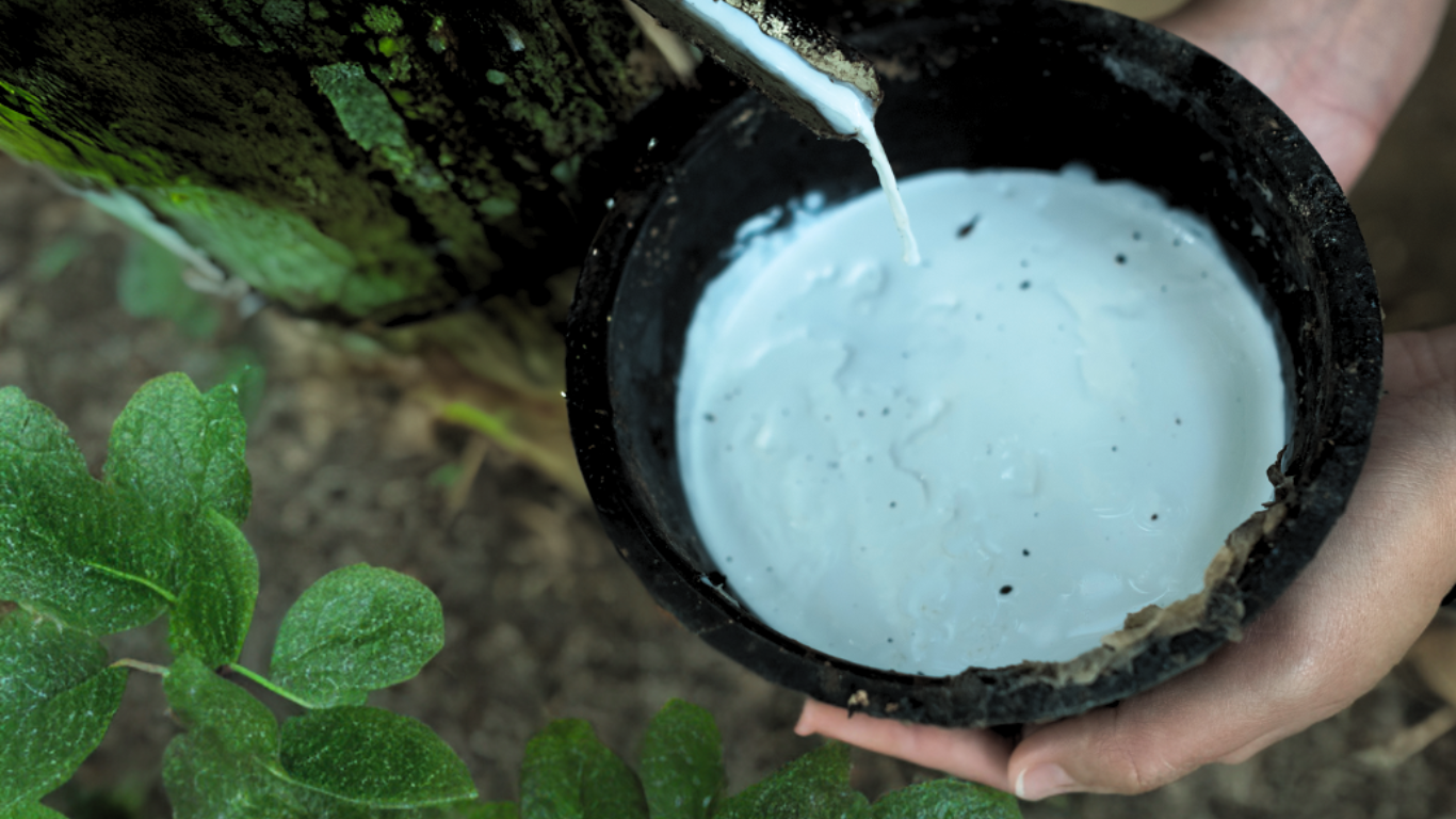 Organic Natural Latex